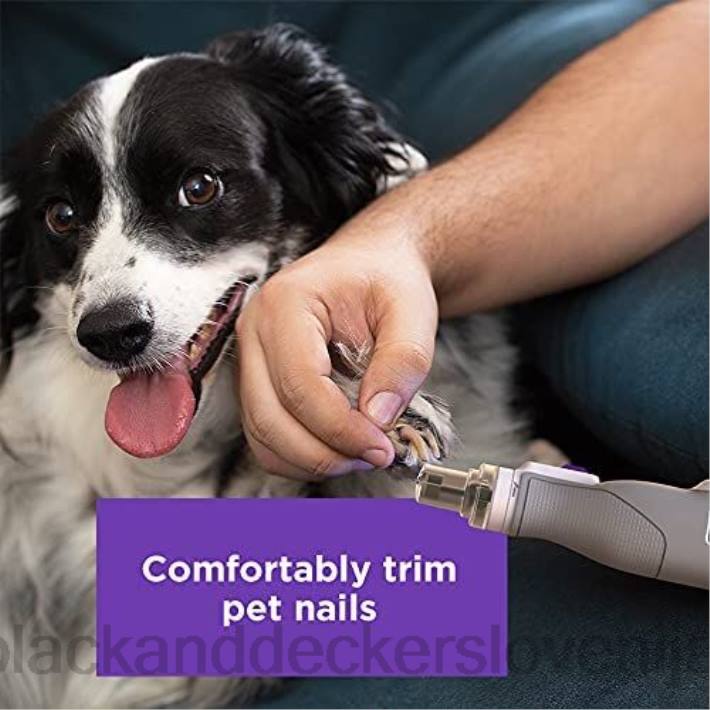 BLACK+DECKER Brezžični akumulatorski strižnik za nohte hišnih ljubljenčkov z največjo napetostjo 8 V in rotacijsko orodje sivo 8B2Z226 dom in življenjski slog